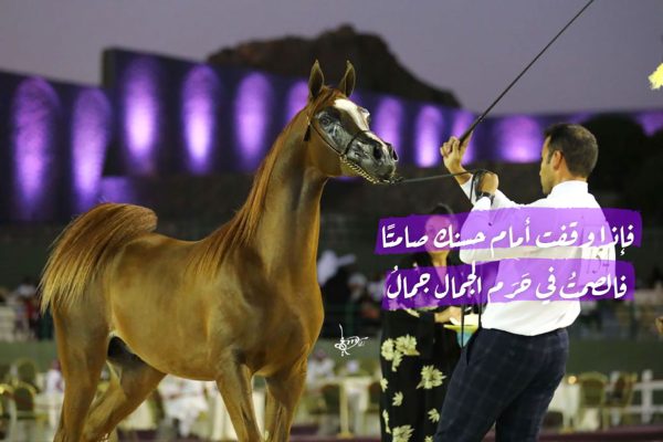 الفحل ناف شقران